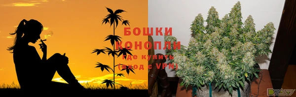ГАЛЛЮЦИНОГЕННЫЕ ГРИБЫ Аркадак