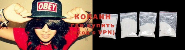 шишки Армянск