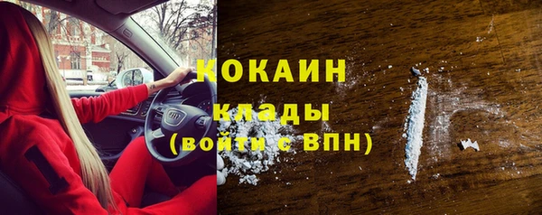 ГАЛЛЮЦИНОГЕННЫЕ ГРИБЫ Аркадак