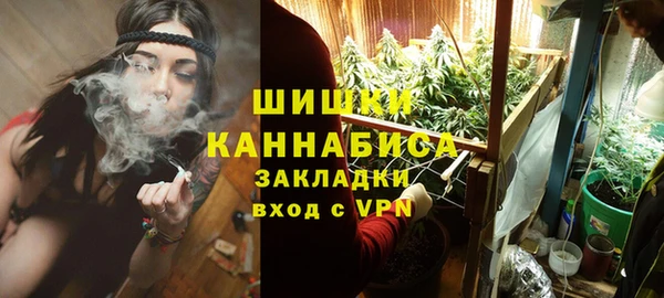 шишки Армянск