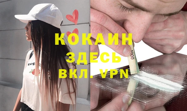 шишки Армянск